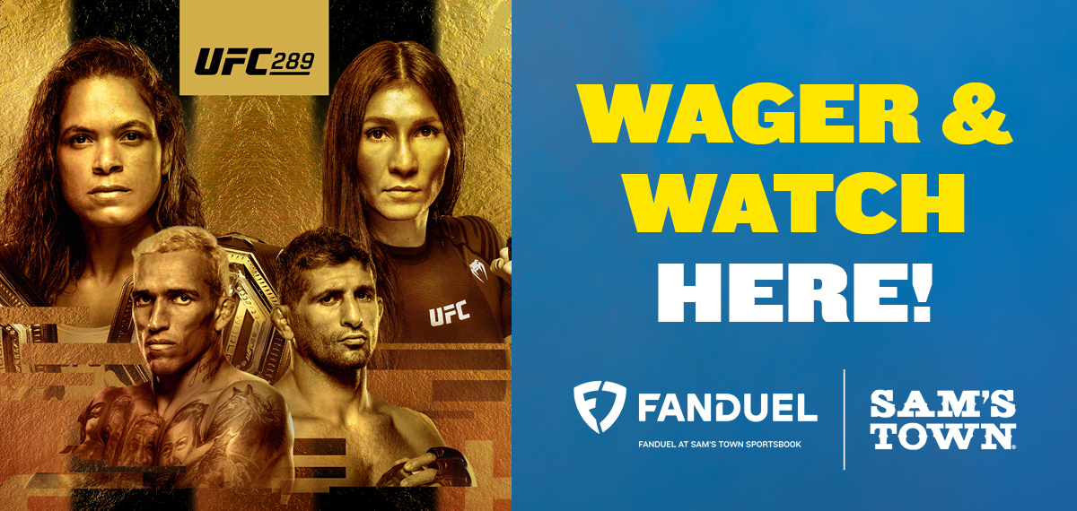 UFC 289