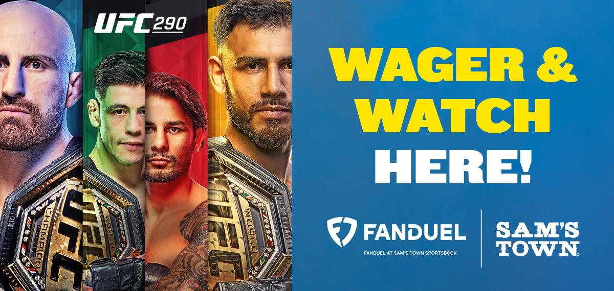 UFC 290