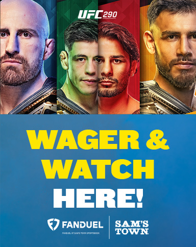 UFC 290