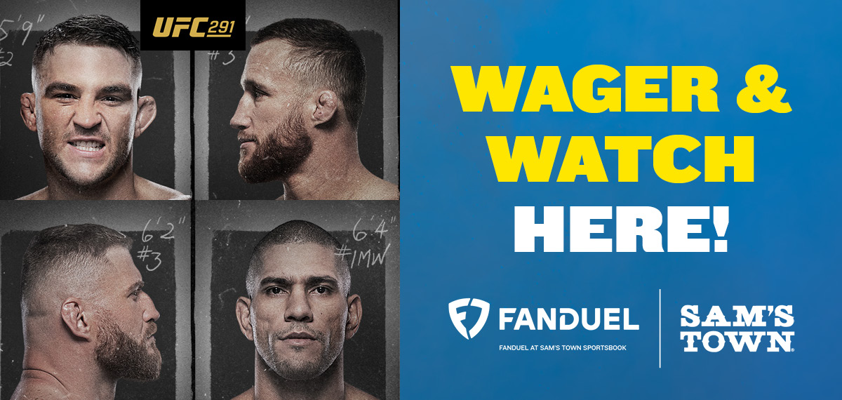 UFC 291