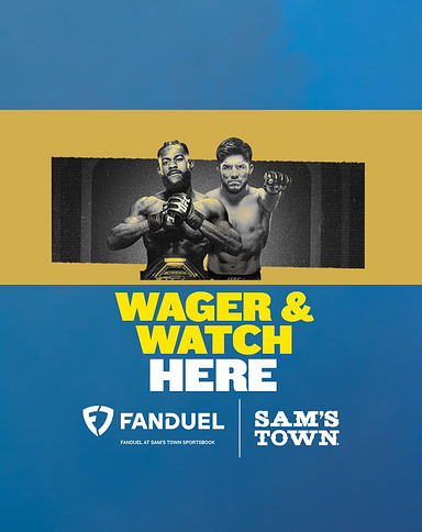 UFC 288